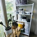 웰라운드 무역 이미지