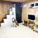 레오랜드 이미지