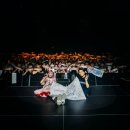 신명난 춤판 그리고 DCDC | 1년간 무얼 보고 다녔나