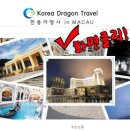 한룡여행사