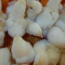 쾌청농장 이미지