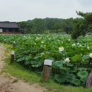 마당식당