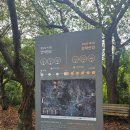 백운의 휴일 | 의왕 백운호수 가볼만한곳 산책로 주차장 드라이브 카페