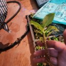 (주)헤븐스카이 이미지