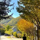 늘솔길숲이야기 화장실 | 늘솔길캠핑촌 파쇄석 C사이트 2박3일 가을캠핑 후기