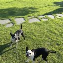 청풍스테이 바다 이미지