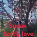 Speak softly love 이미지