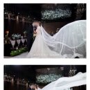 [Wed #31] 본식스냅 :: 깨끗한 화이트톤 색감의 다스포토스냅 계약 후기!