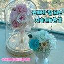 집에서 하는 창업 부업 프리저브드 플라워 자격증 무인매장