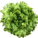 유럽농장 이미지