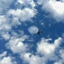 을숙도 생태공원 이미지