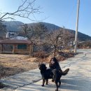 남산카센타 이미지