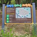 숲 체험 리틀 포레스트 이미지