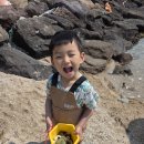 네이처펜션 | 내돈내산 포항 청하면 펜션, 네이처풀빌라 후기