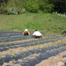 바우찹쌀농장 이미지