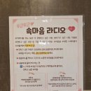 제주도 게스트하우스 파티 서귀포 스테이블 게하 후기