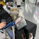 기린약국 | 나트랑 4박6일여행 5일차 호텔모이조 안토이 롯데마트 빈펄랜드 Le' Sofi Restaurant