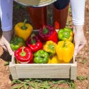 진영산업 이미지