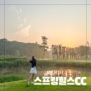 스프링힐스CC 새벽티업 후기
