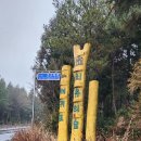 2024년 2 월 정기산행. 시오름~치유의숲길.15명 이미지