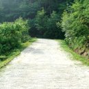 백양산임도 이미지