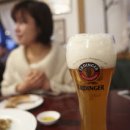 셰프 마일리 티스토리