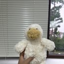 공간대여 후기 / 새로 오픈한 감성 스터디룸 연남동 &#39;오아네&#39;