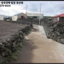 서귀동-22 네이버블로그