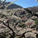 대영파워펌프대리점 이미지