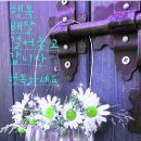 ☆피그말리온☆ 이미지