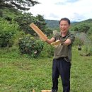 KAIST 백세 한의원 이미지