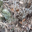 봉곡북로-6 이미지