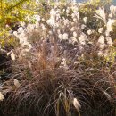 녹동농장 이미지