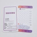 솔펫살롱 이미지