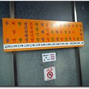 수타반점 Daum카페