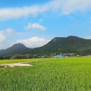 신월민박 이미지