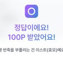 오늘의 마켓
