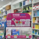 종로밝은약국 이미지