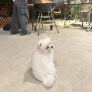 델루나 관광펜션 이미지