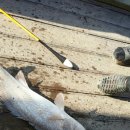 k1한국바다낚시터 이미지