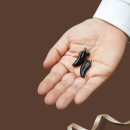 시그니아 보청기 서대문센타 이미지