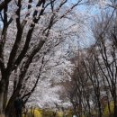 동산남성 이미지