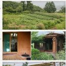 금당아트 밸리 이미지