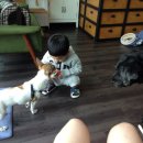 시온동물병원 이미지