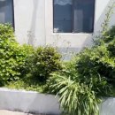 읍내삼거리 이미지