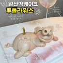 일산떡케이크 투플라워스 , 돼지모양 떡케이크 불꽃풍선 이벤트 후기