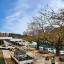 덕신(병설)유치원 이미지