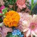 소망꽃집 - 광진구 광장로 80 | 소망꽃집