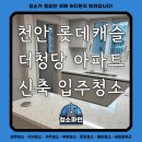 더파인캐슬 | 천안 롯데캐슬 더청당 아파트 신축 입주청소 후기 - 청소파인