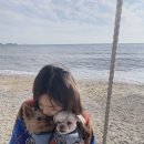 두동다방